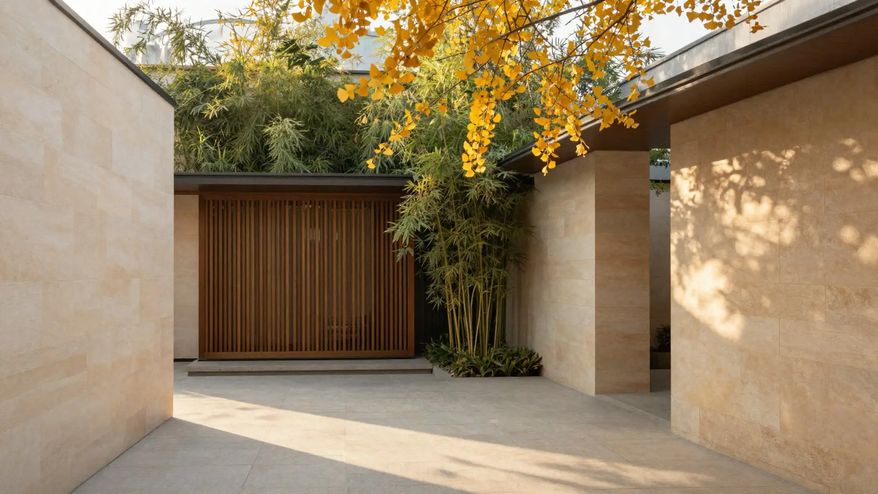 A sunlit courtyard with pale stone walls, bamboo and ginkgo leaves